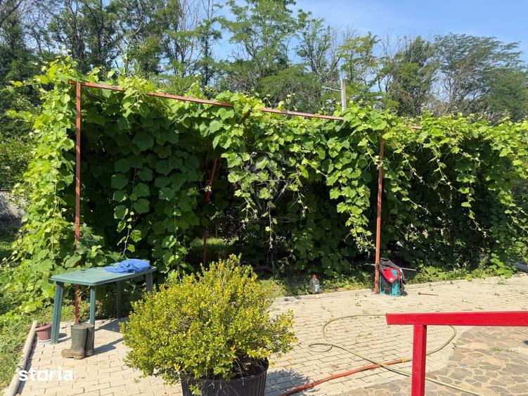 Casă cu 3 camere cu Teren 5000 Mp în Berceni
