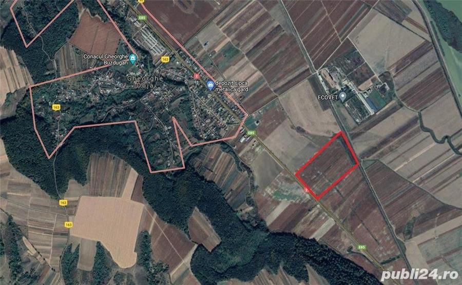 Teren de 200000 mp, în Gheorghe Doja