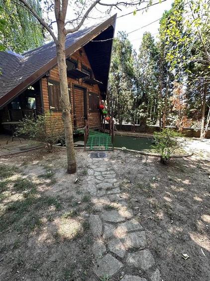 Casă individuală cu 11 camere cu Piscina în Cazasu