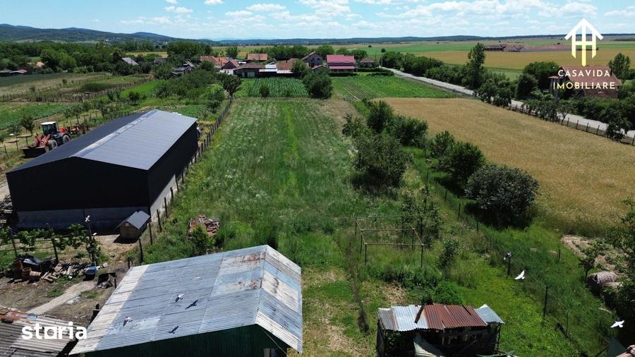 Casă cu 3 camere cu Teren 2800 Mp în Traian Vuia