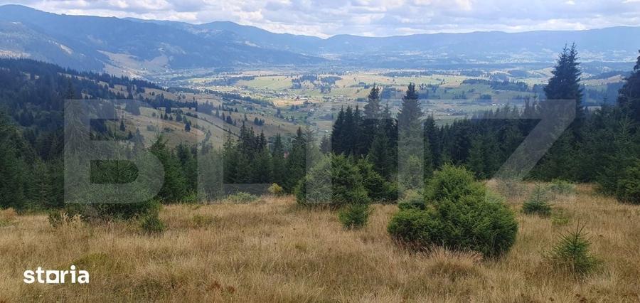 Teren extravilan de vanazre, 42.152 mp, zona Saru Dornei - 9