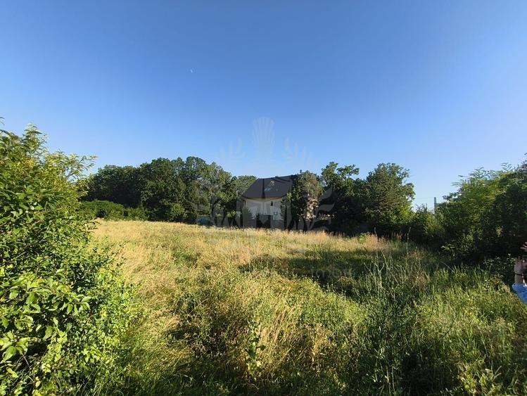 Teren Construcții intravilan de 5085 mp, în Păulești