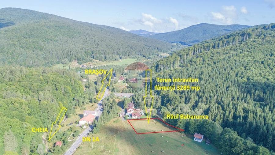 Teren de 3289 mp, în Babarunca