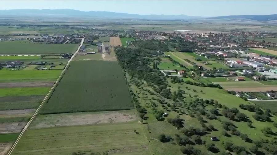 Teren Construcții intravilan de 500 mp, în Bod