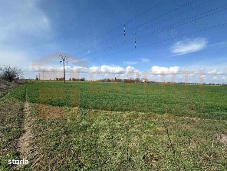 Teren de vanzare 18.000 mp | Deschidere la DN | Ideal investitie - 6