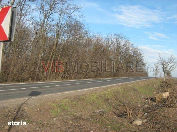 Teren de 61830 mp, în Belciugatele