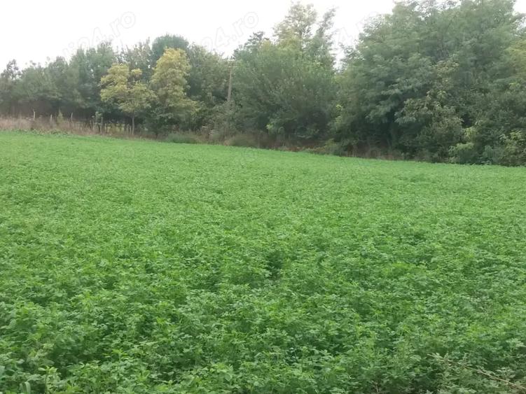 Teren de 3400 mp, în Central
