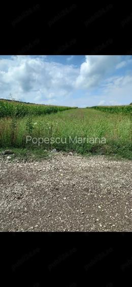Teren de 3600 mp, în Almașu Mic