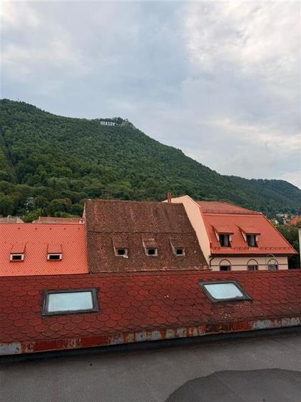 Hotel/Pensiune, de 421 mp, în Centrul Istoric