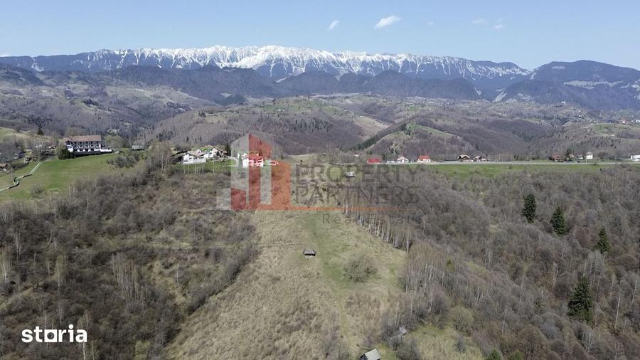 Teren de 29595 mp, în Moieciu