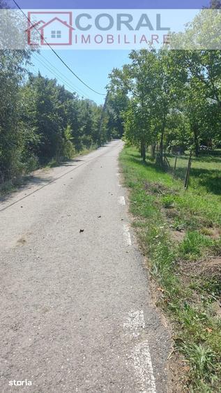 De vanzare teren intravilan Barsau - 2