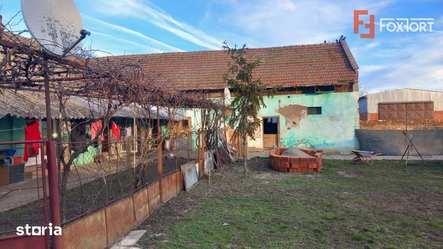 Casa individuala + hala de vanzare in Grabat - 9