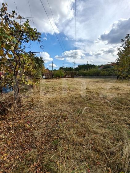 Teren Construcții intravilan de 1045 mp, în Rolast