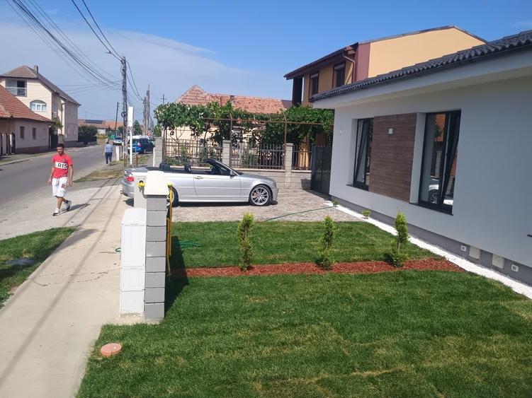 Vand duplex giarmata vii - 3