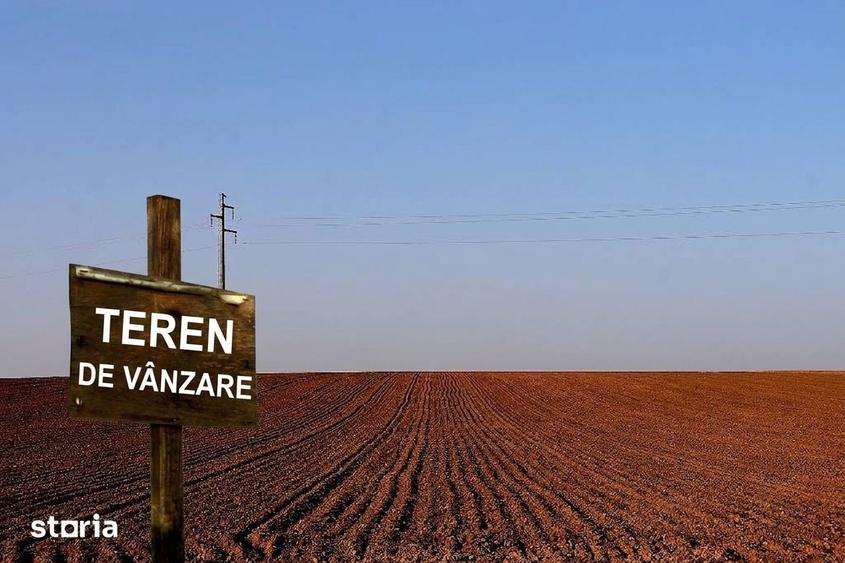 1.000 Ha sud-estul Romaniei, Campia Baraganului - 1