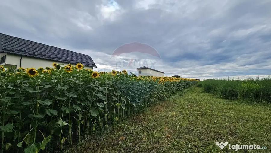 Teren intravilan 2600 mp de vanzare, Ipote?ti- Lisaura,... - 1
