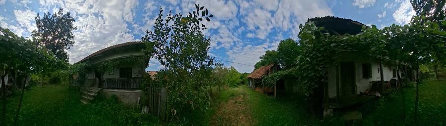 Teren de 10000 mp, în Foleștii de Jos