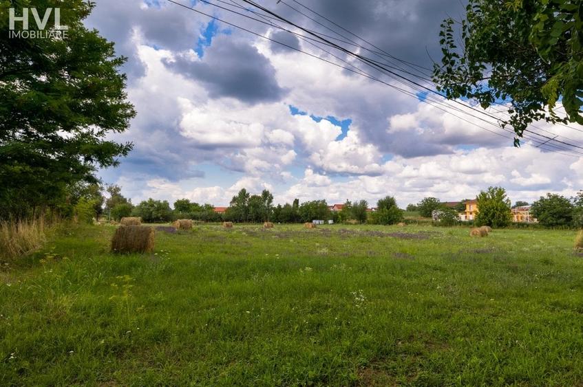 Teren Construcții intravilan de 2305 mp, în Bodrogu Nou
