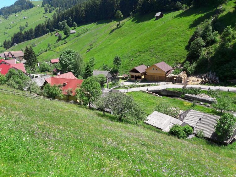 Teren de 4890 mp, în Moieciu