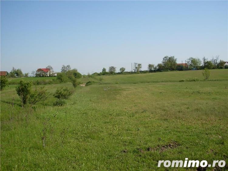 Teren de 55000 mp, în Salonta