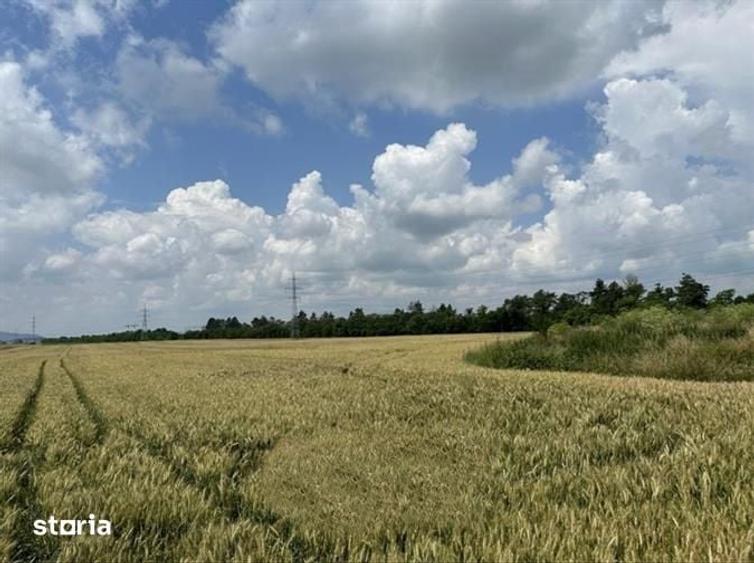 Teren de 13000 mp, în Hărman