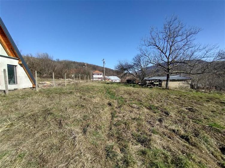 Teren Construcții intravilan de 3800 mp, în Vest