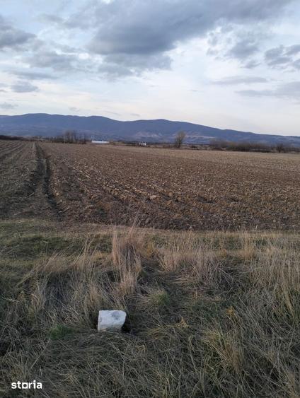 Teren de 4681 mp, în Totești