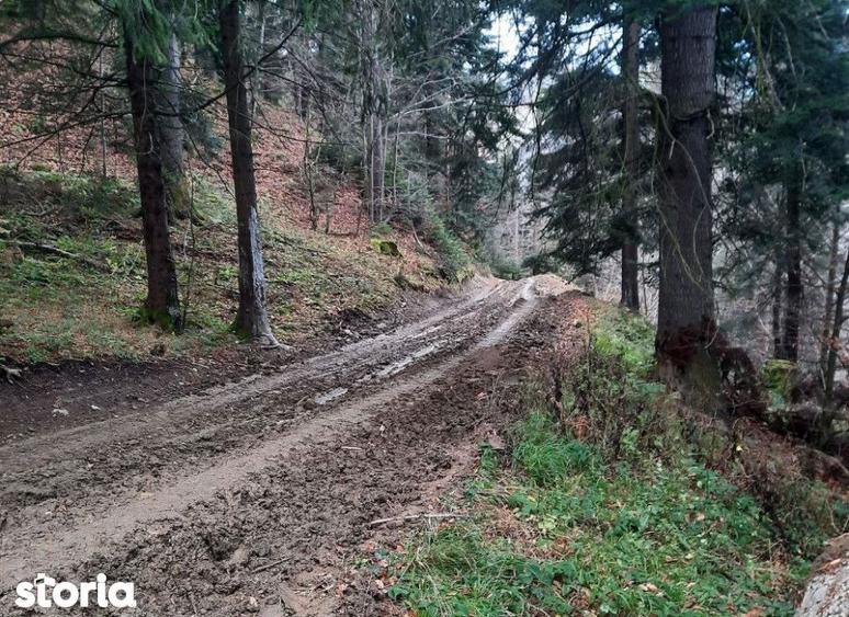 Teren de 2500 mp, în Central