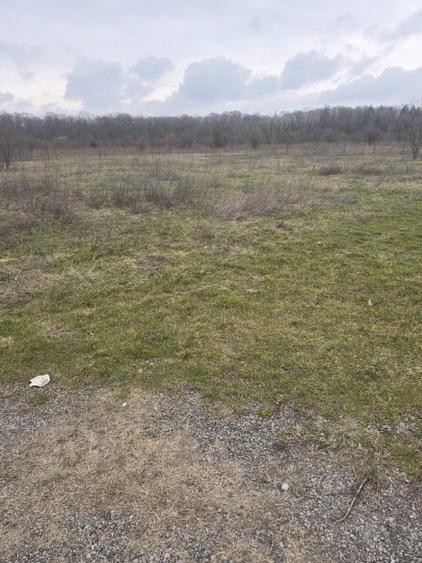 Teren Construcții intravilan de 746 mp, în Băneasa