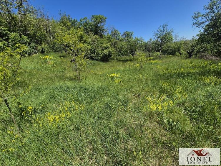 Teren Construcții intravilan de 15300 mp, în Vințu de Jos