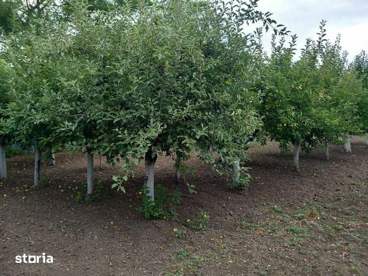 Casă cu 4 camere cu Teren 162 Mp în Ghizdaru