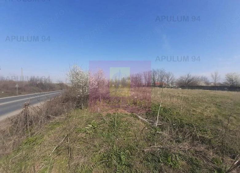 Teren de 4800 mp, în Glina