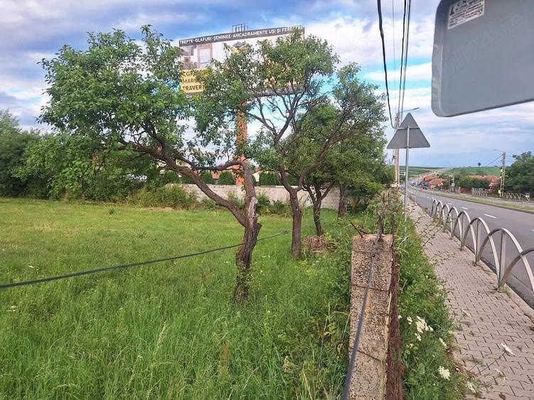 Teren de 10000 mp, în Tureni