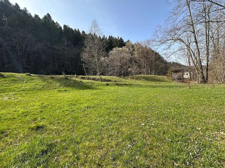 Teren de 6888 mp, în Putna