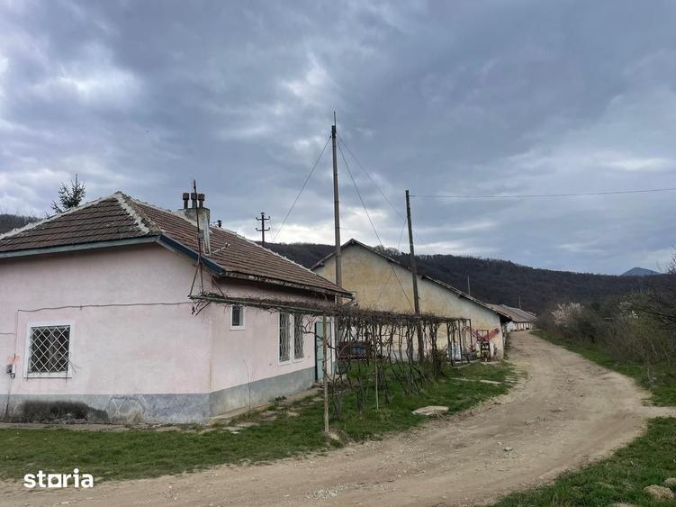 Spațiu comercial, de 18,246 mp, în Central