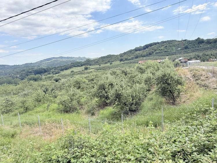 Teren Construcții intravilan de 2721 mp, în Valea Târsei