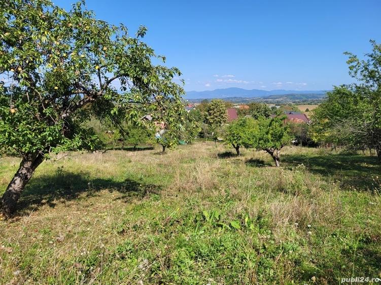 Teren de 4100 mp, în Remetea Chioarului