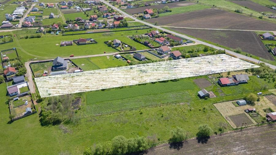 Teren Construcții intravilan de 9758 mp, în Bod