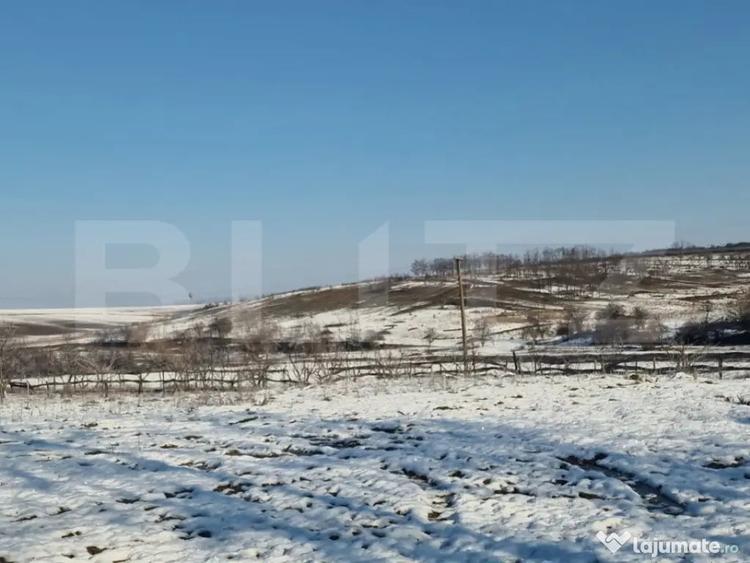Teren de 79000 mp, în Central