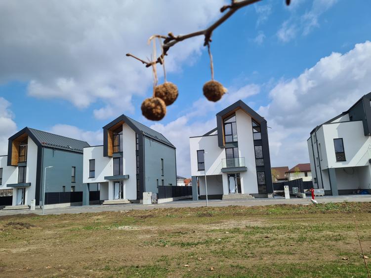 Teren Construcții intravilan de 993 mp, în Odăi