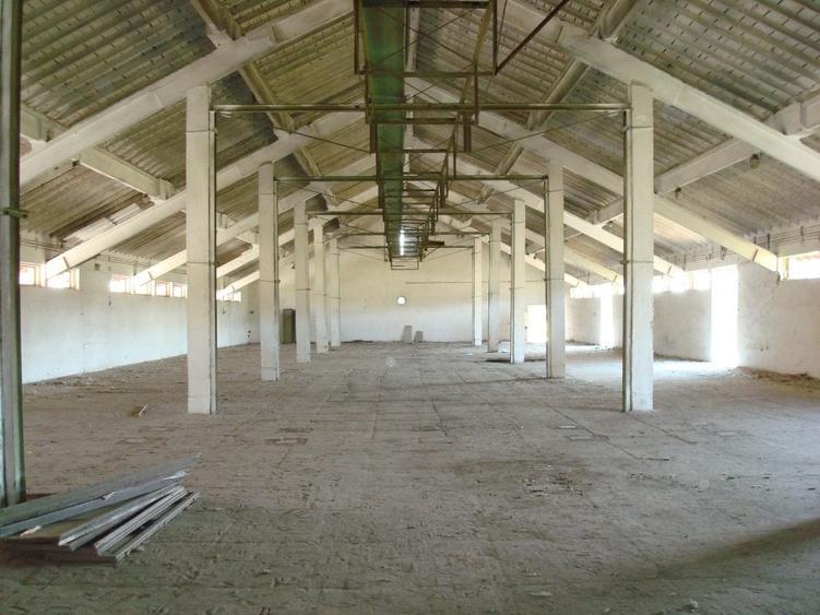 Teren Construcții intravilan de 39000 mp, în Giurgiului