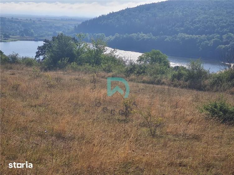 Teren de 50000 mp, în Moacșa
