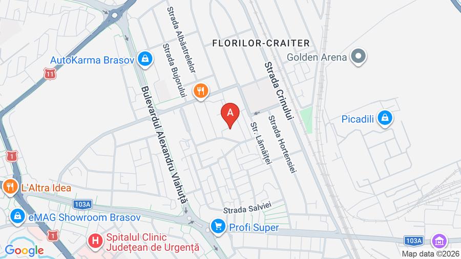 Apartament cu 2 camere semidecomandat în Florilor