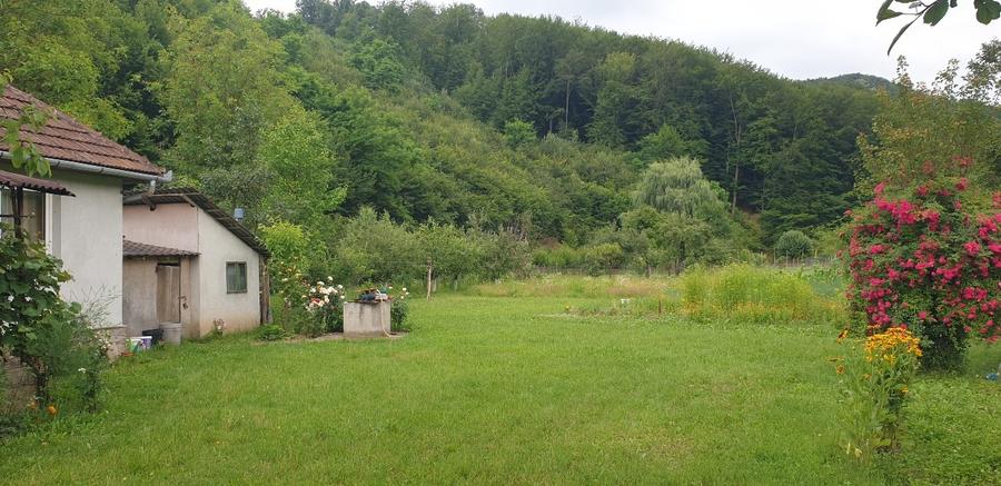 Casă individuală cu 3 camere cu Teren 1500 Mp în Central