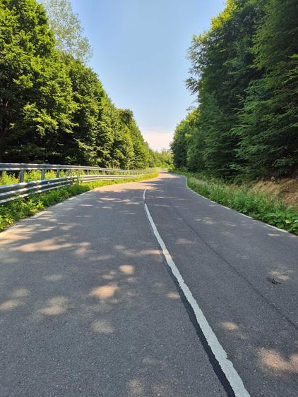 Teren de 3700 mp, în Viștișoara