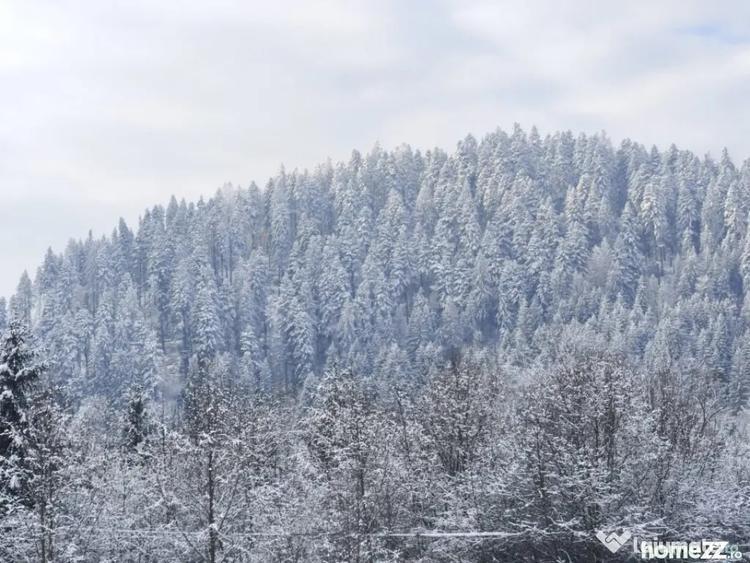 Teren de 22600 mp, în Sucevița