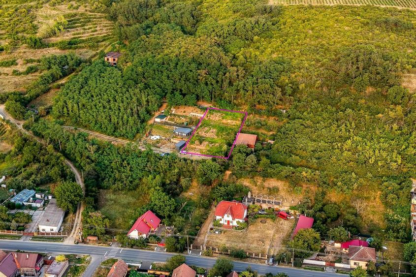 Teren Construcții intravilan de 1150 mp, în Miniș