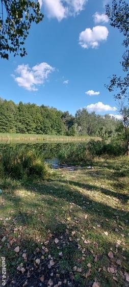 Teren de 5000 mp, în Ostrovu Corbului