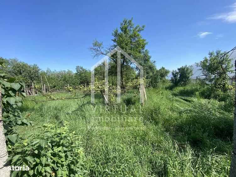 Casă cu 2 camere în Apoldu de Jos