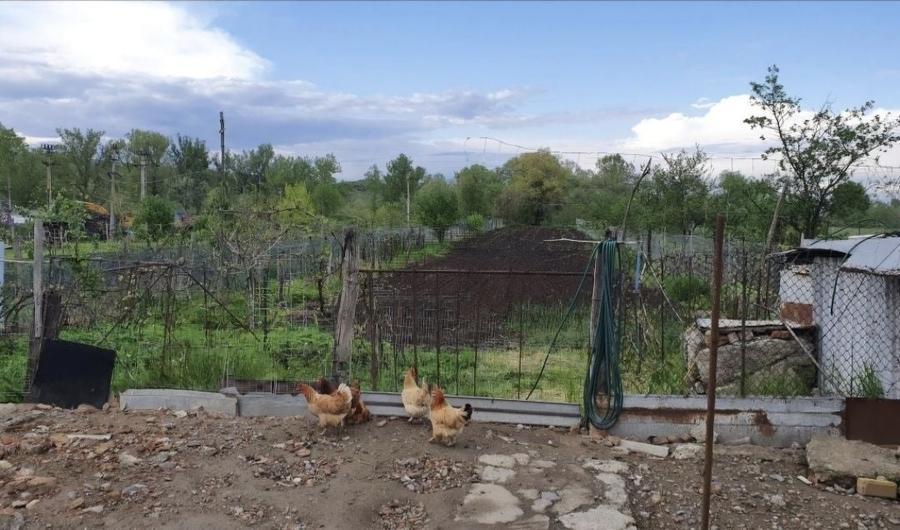 Casă cu 3 camere în Central